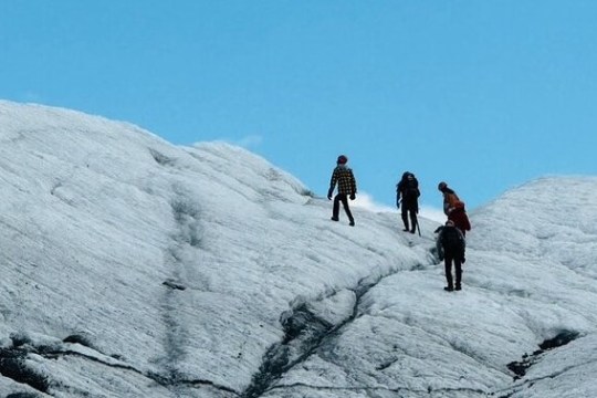 Four people hiking on a glacier under a clear blue sky.