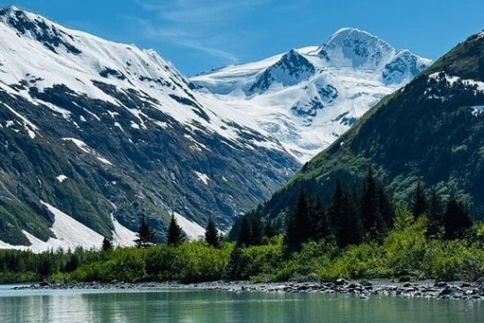Snow-capped mountains with trees and a lake in foreground under blue sky.